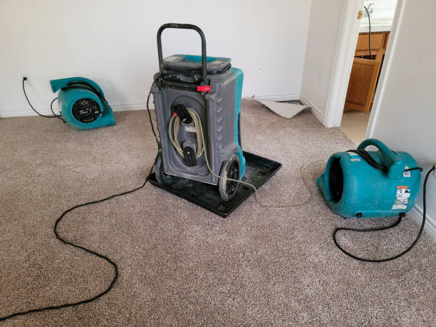  Four Corners, MT Water damage restoration Pros