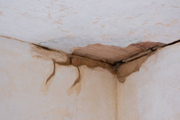 Best Mold removal after water damage  in Four Corners, MT