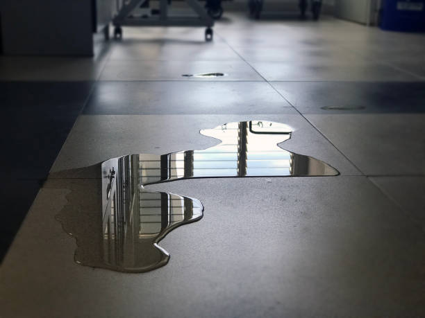 Reliable Four Corners, MT Water damage restoration Solutions