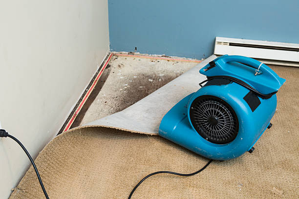 Best Sewage cleanup and water damage restoration  in Four Corners, MT